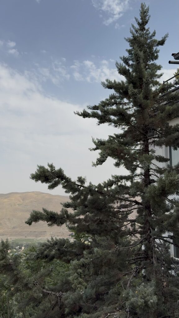 چشم انداز اصطلک ویو لواسان