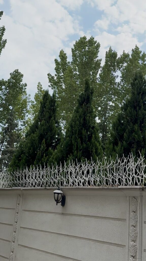 ناران و صحرای ناران